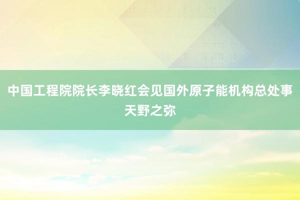 中国工程院院长李晓红会见国外原子能机构总处事天野之弥